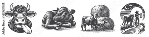 Vintage Hand-Drawn Cattle with Tongue Out Illustration, Farm Animal Engraved Vector for Agriculture and T-Shirt Design