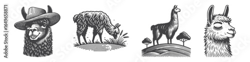 Vintage Hand-Drawn Llama on Hill Illustration, Animal Engraved Vector for Nature and T-Shirt Design