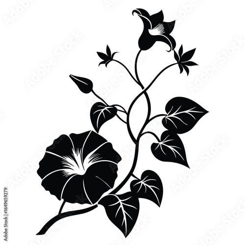 Black Floral Vector Illustration Featuring Morning Glory Flowers, Leaves, and Vines in Silhouette
