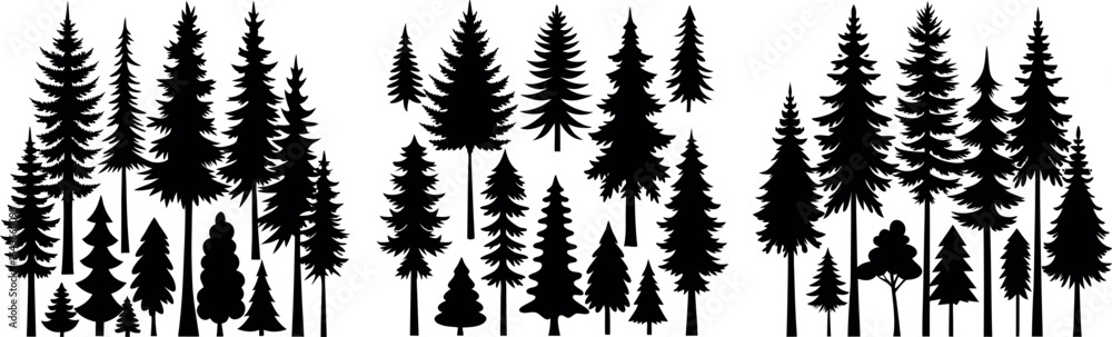 Naklejka premium Elegant Pine Tree Silhouette in Black and White – Symmetrical Layered Branch Design