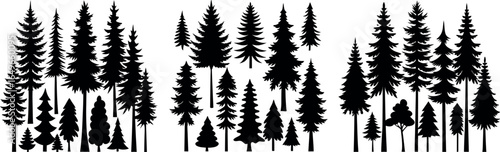 Elegant Pine Tree Silhouette in Black and White – Symmetrical Layered Branch Design