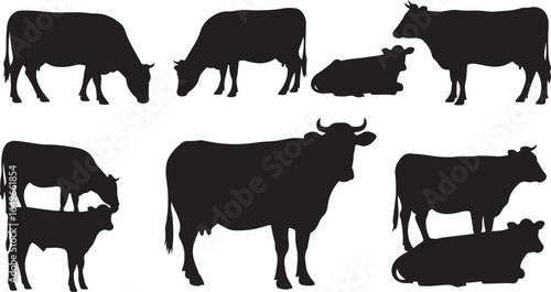 Vector art of collection of black cow silhouettes in various poses, including standing, grazing, and lying down, isolated on a clean white background