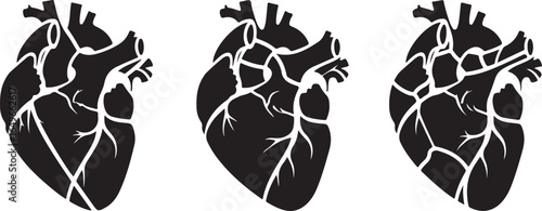 Vector art of three black anatomical human heart illustrations isolated on white background, symbolizing health, life, and cardiology