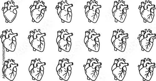 Vector art of anatomical heart illustration with multiple repetitions, isolated on white background, symbolizing health, life, and emotion