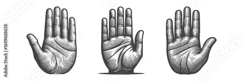 Vintage Hand-Drawn Waving Hand Illustration, Friendly Gesture Engraved Vector for T-Shirt and Social Media Design