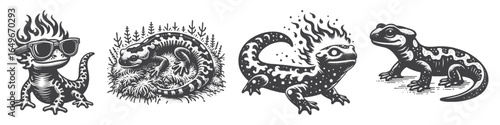 Vintage Hand-Drawn Fire Salamander Wearing Sunglasses Illustration, Cool Amphibian Engraved Vector for Nature and T-Shirt Design