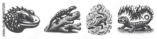 Vintage Hand-Drawn Fire Salamander Angry Illustration, Fiery Amphibian Engraved Vector for Nature and T-Shirt Design
