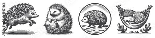 Vintage Hand-Drawn Hedgehog On Desert Illustration, Cute Animal Engraved Vector for Nature and T-Shirt Design