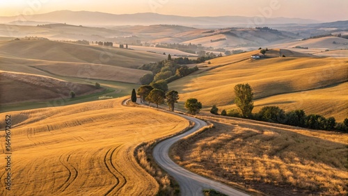 Golden Wheat Fields and Rolling Hills with Winding Dirt Road Aerial View V4