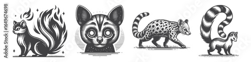 Vintage Hand-Drawn Genet With Fire Tail Illustration, Wildlife Animal Engraved Vector for Fantasy and T-Shirt Design