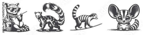 Vintage Hand-Drawn Genet Big Ear Illustration, Wildlife Animal Engraved Vector for Nature and T-Shirt Design