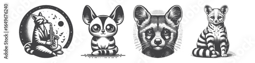 Vintage Hand-Drawn Genet Playing Music Illustration, Wildlife Animal Engraved Vector for Art and T-Shirt Design