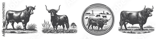 Vintage Hand-Drawn Cattle Farm Illustration, Farm Animal Engraved Vector for Ranch and T-Shirt Design