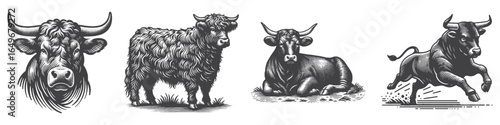 Vintage Hand-Drawn Running Cattle Illustration, Farm Animal Engraved Vector for Ranch and T-Shirt Design