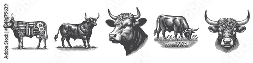 Vintage Hand-Drawn Cattle As Robot Illustration, Futuristic Farm Animal Engraved Vector for Sci-Fi and T-Shirt Design