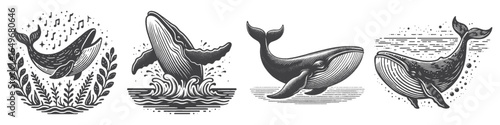 Vintage Hand-Drawn Whale Singing Illustration, Marine Animal Engraved Vector for Music and T-Shirt Design