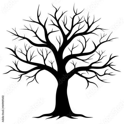 Winter oak tree silhouette with bare twisted branches, no leaves, isolated on white background.