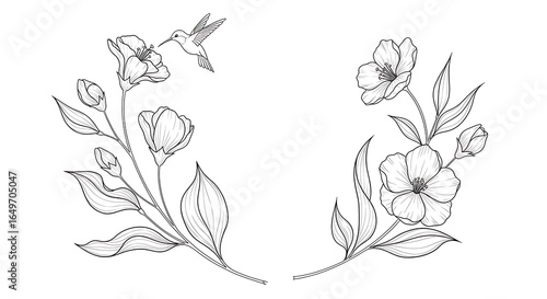 Hummingbird and Floral Wreath Line Art Design