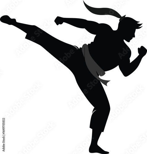 Martial artist performing a powerful side kick silhouette isolated on white background