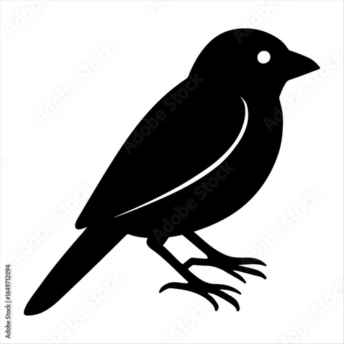 The Best Cuckoo Design Icon.