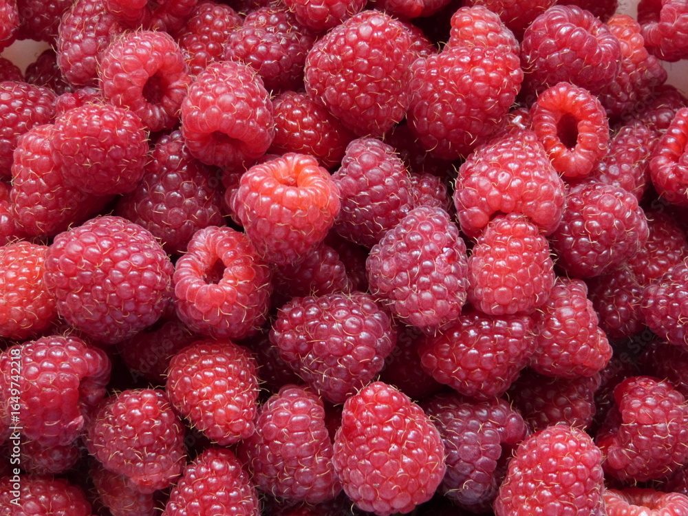 Large domestic raspberries photographed close-up. Macro. Large domestic raspberries photographed close-up. Macro.