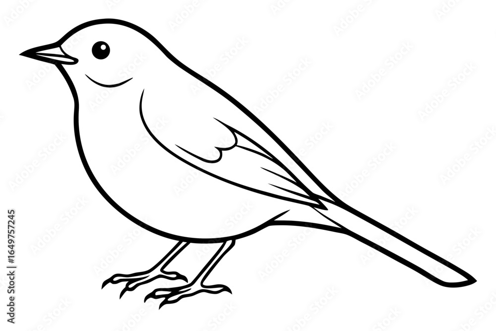 Obraz premium Robin Bird line Art Vector Illustration