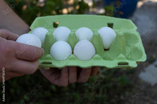 eggs in a hand