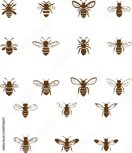 Set of insects ants isolated on white background