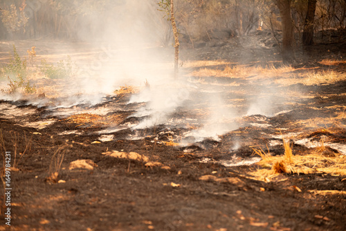Burnt Ground and Ash with Smoke Still Rising