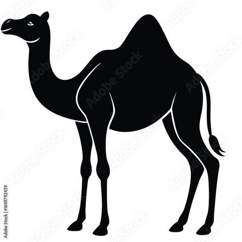 Camel Silhouette