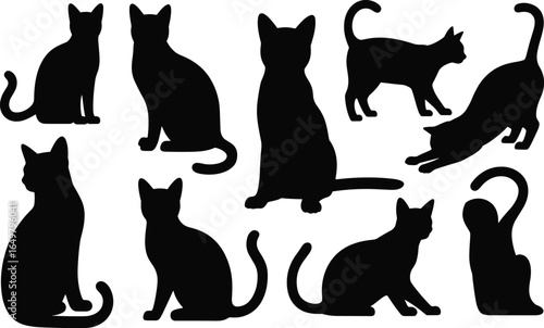 Black cat silhouettes, feline poses, sitting, standing, stretching, grooming, pet behavior, animal shapes, vector design, isolated cats, artwork