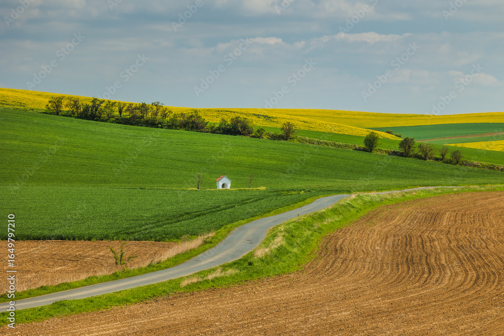 Fototapeta premium Rolling green fields of Moravia in spring, painted with colorful patches and gentle hills