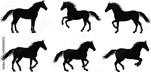 Horse silhouettes in motion, standing, trotting, galloping, black outlines, dynamic poses, graceful animals, equine art, vector design, isolated shapes