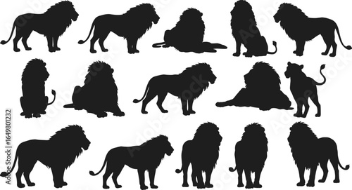 Lion silhouettes in various poses, black lion shapes, standing, sitting, walking, lying down, male lions, wildlife vector illustration