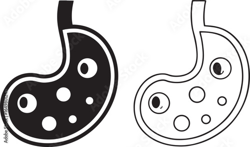 Stomach anatomy graphic illustration with internal elements