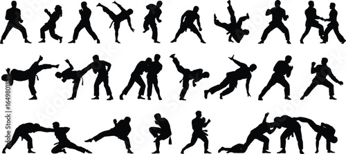 Martial arts silhouettes of fighters in action, vector illustrations of combat poses including kicks, punches, throws, and grappling