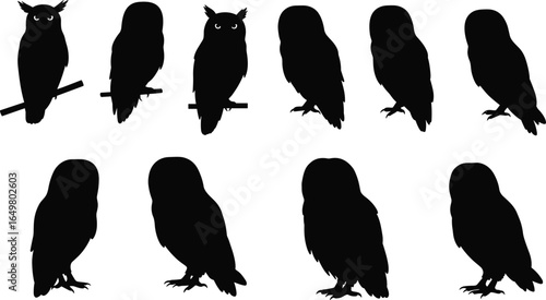 Owl silhouette vector set, perched and standing owl shapes, bird clipart collection for wildlife, nature, or Halloween design