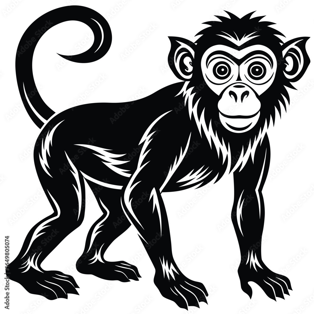 Obraz premium Monkey Silhouette