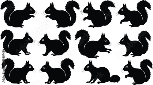 Squirrel silhouette set, black vector rodents, various poses, bushy tails, animal clipart, nature icons, jumping, sitting, standing