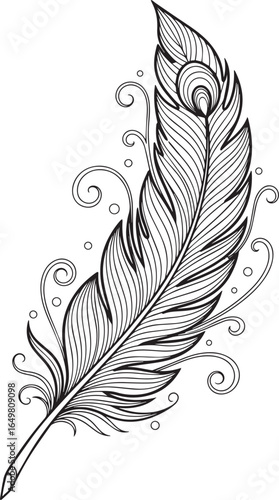 Detailed Hand-Drawn Peacock Feather