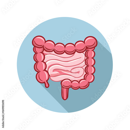 Human Colon Graphic Illustration in Blue Circle, Depicting Large Intestine Anatomy and Digestion Process