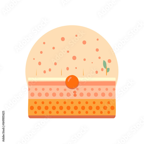 Illustration of skin layers featuring pimples pores hair follicles and oil glands within the epidermis and dermis layers