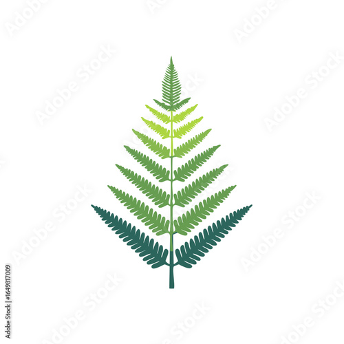 Elegant fern frond, gradient green tones, delicate leaf structure, botanical illustration for natural and serene design elements.
