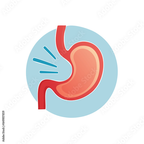 Illustration depicting the human stomach, esophagus, and gastric activity in stylized colors on a light blue circular background.