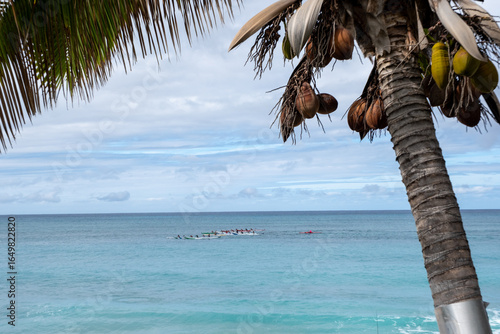 Coconut palm tree on tropical beach at Kahana Bay, Oahu, Hawaii on January 28, 2023