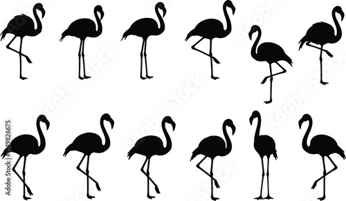 WebFlamingo silhouettes, bird, pose, standing, walking, neck, leg, vector, black, elegant, nature, animal