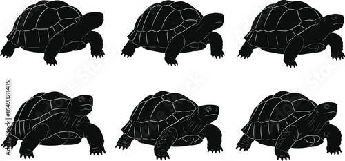 Tortoise silhouettes, vector, black, gear icon, puzzle, animal, reptile, slow, pattern, concept, illustration, comparison