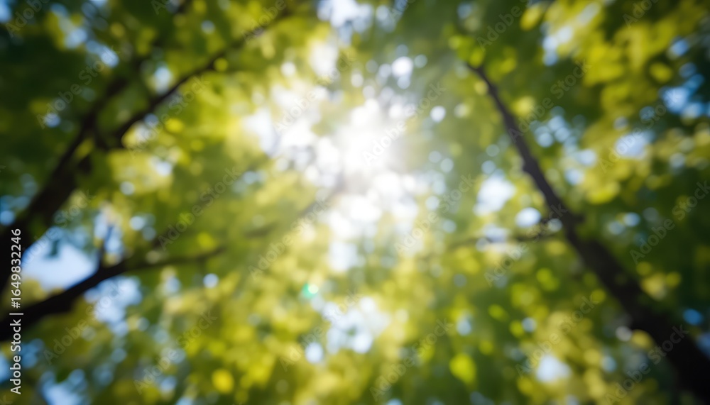Obraz premium Abstract view looking upward through a forest canopy with bright sunlight shining through the green leaves