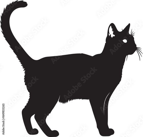 Cat standing side view animal domestic feline silhouette