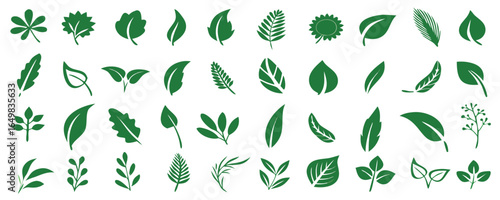 Leaf icons set ecology nature element, green leafs, environment and nature eco sign. Leaves on white background – for stock 

